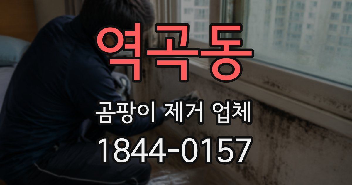역곡동 곰팡이 제거 업체