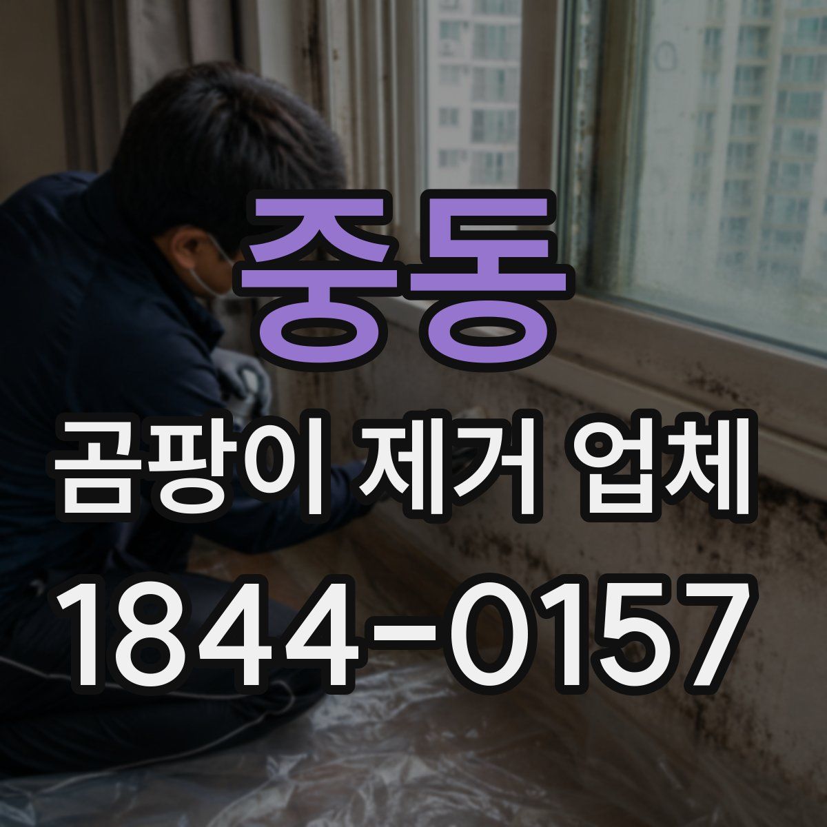 중동 곰팡이 제거 업체