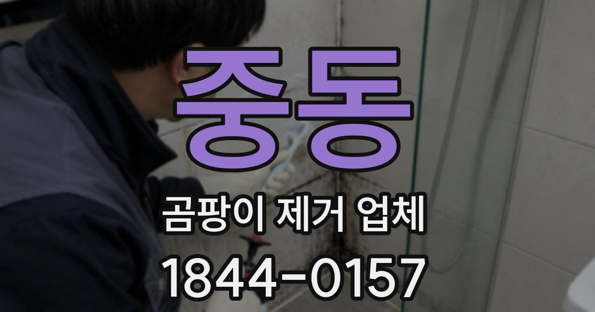 중동 곰팡이 제거 업체