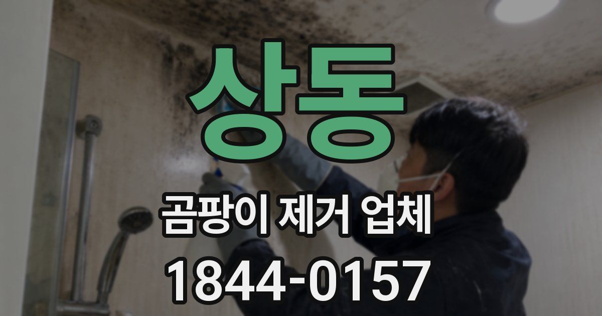 상동 곰팡이 제거 업체