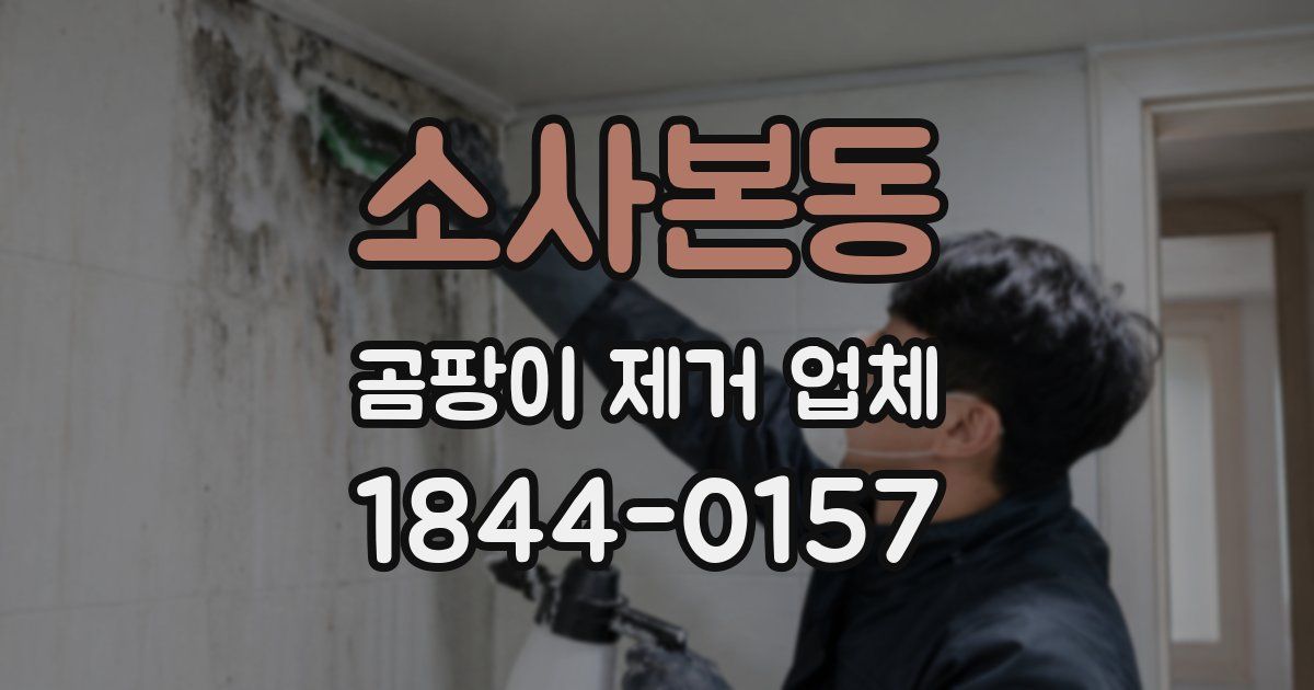 소사본동 곰팡이 제거 업체