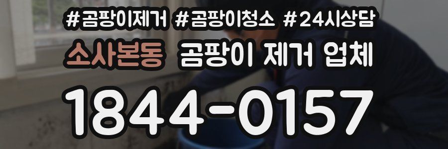 소사본동 곰팡이 제거 업체