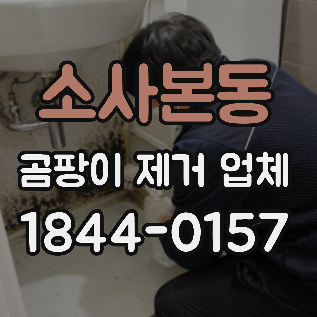 소사본동 곰팡이 제거 업체