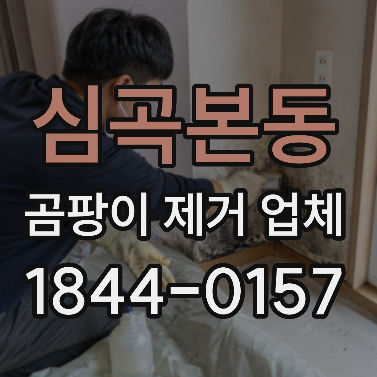심곡본동 곰팡이 제거 업체