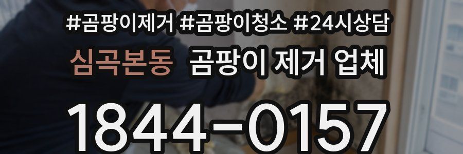심곡본동 곰팡이 제거 업체