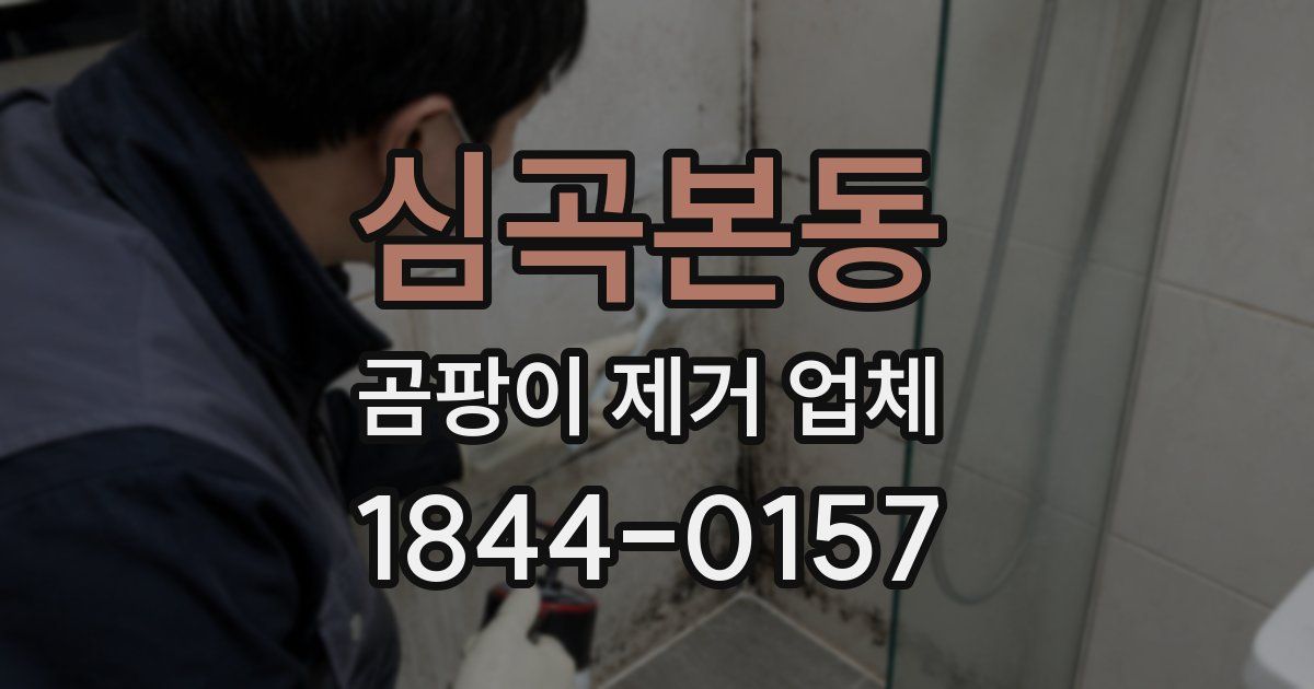 심곡본동 곰팡이 제거 업체