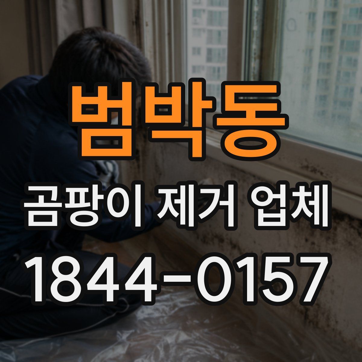 범박동 곰팡이 제거 업체