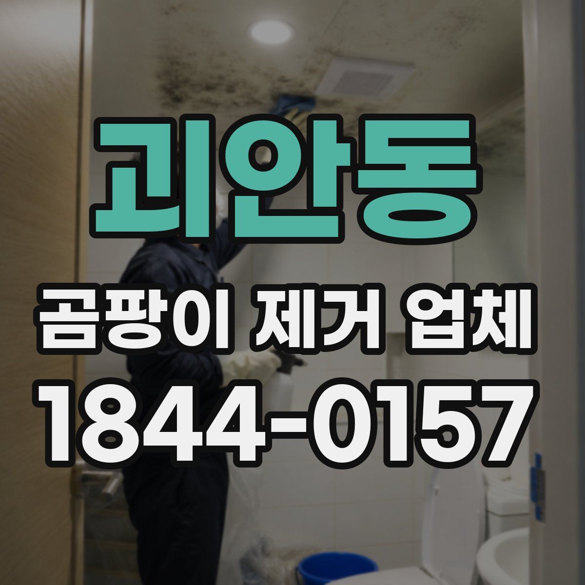 괴안동 곰팡이 제거 업체