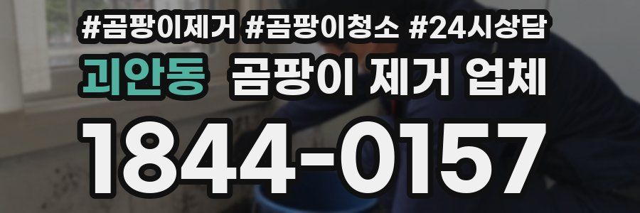 괴안동 곰팡이 제거 업체