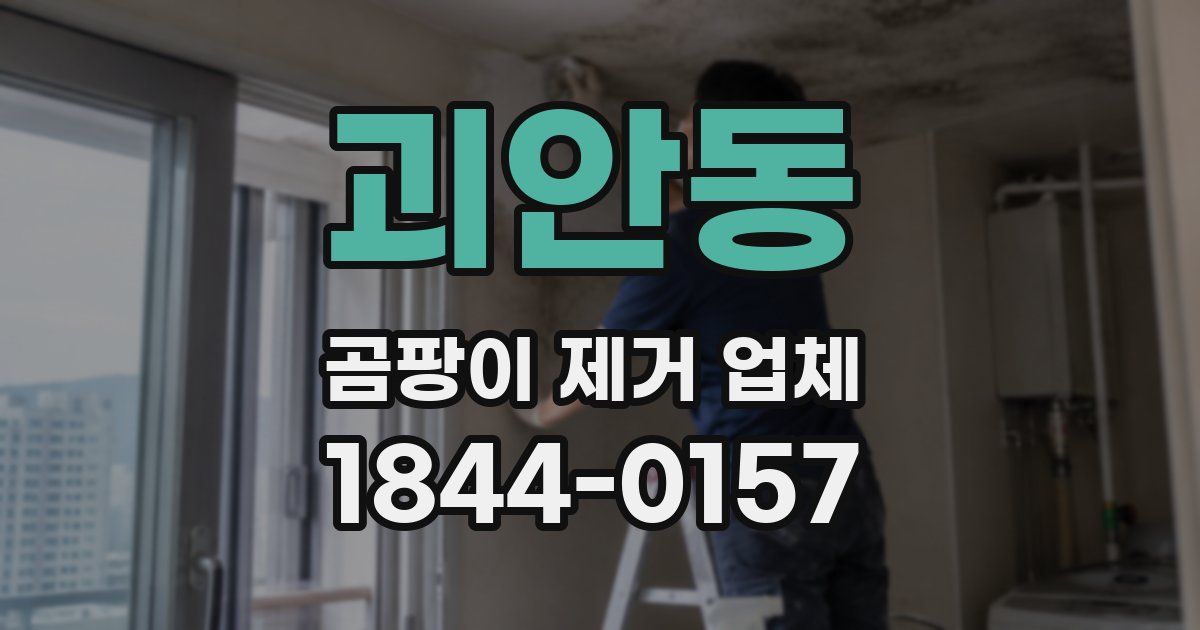 괴안동 곰팡이 제거 업체
