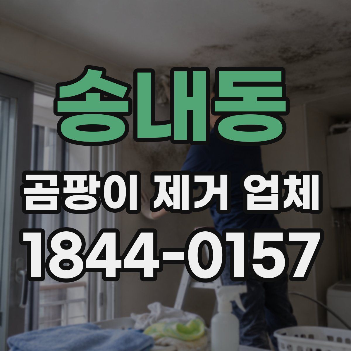 송내동 곰팡이 제거 업체