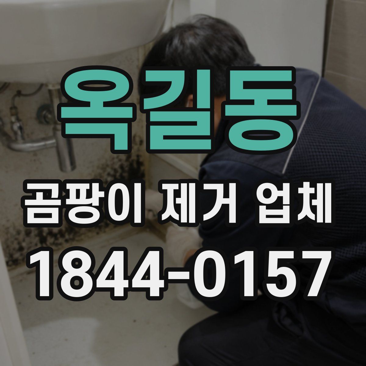 옥길동 곰팡이 제거 업체