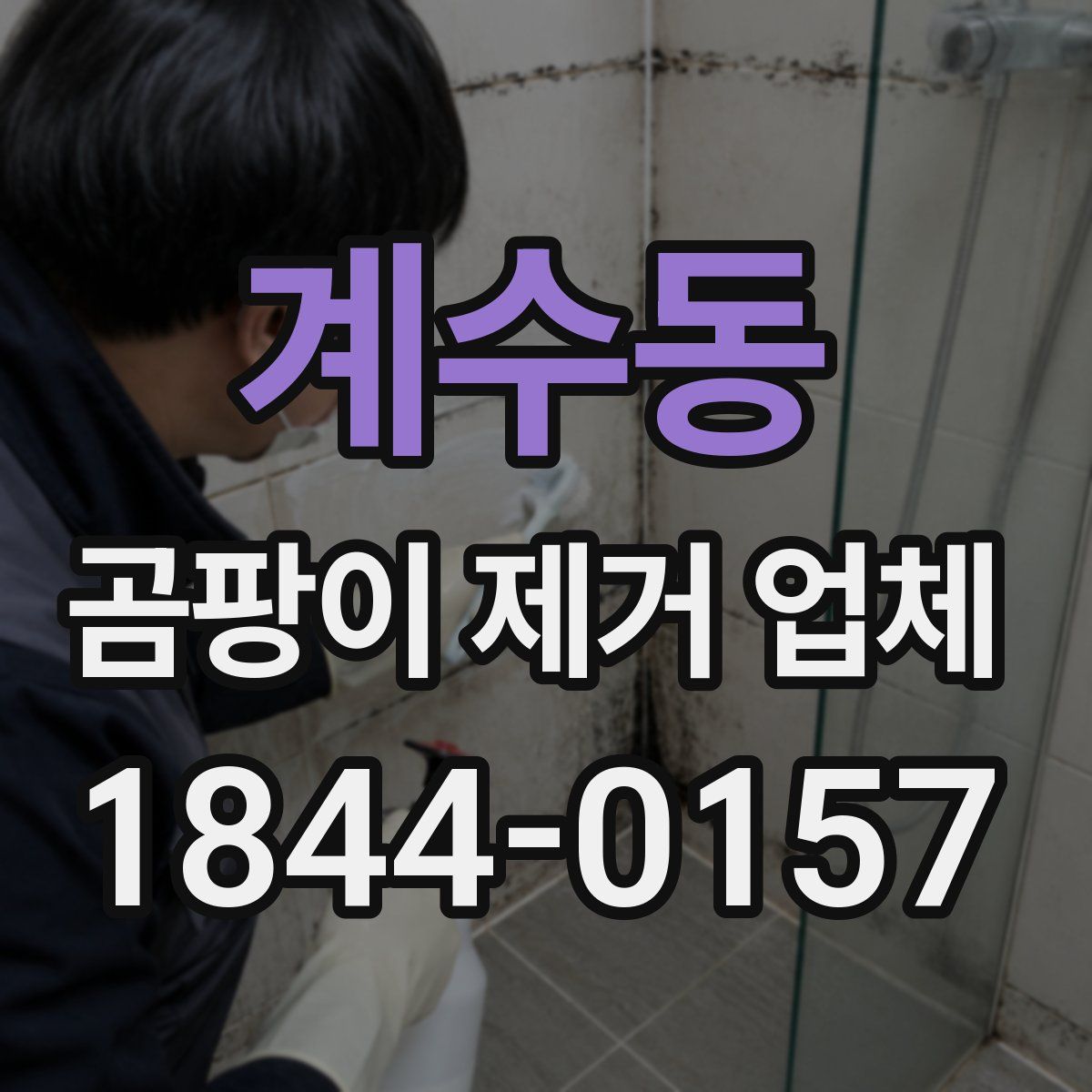 계수동 곰팡이 제거 업체