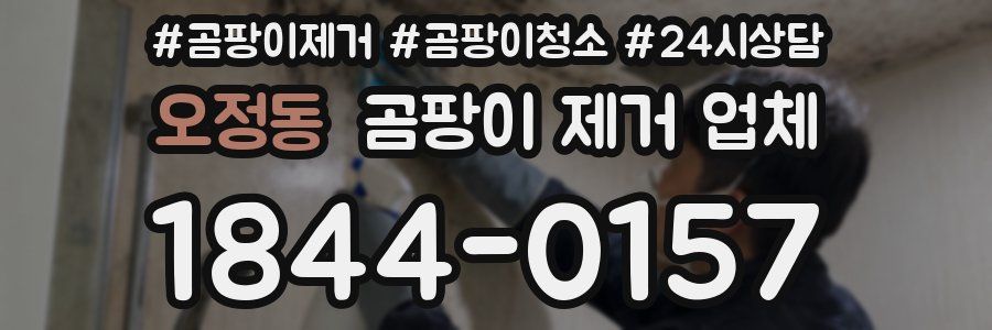 오정동 곰팡이 제거 업체