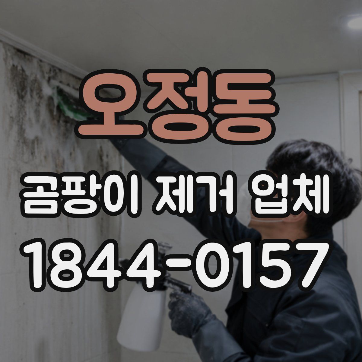오정동 곰팡이 제거 업체