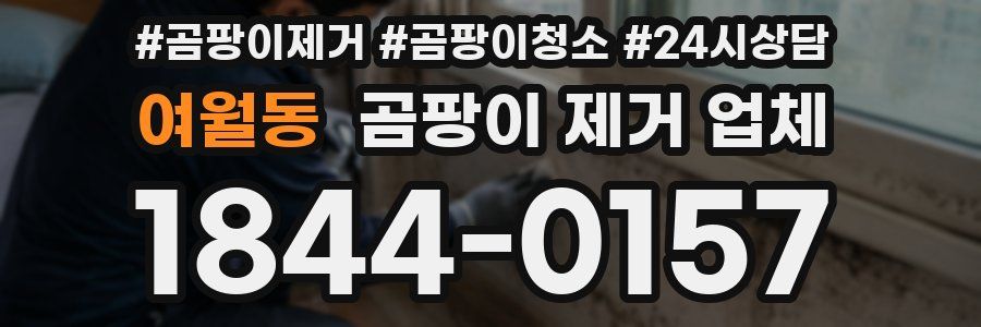 여월동 곰팡이 제거 업체