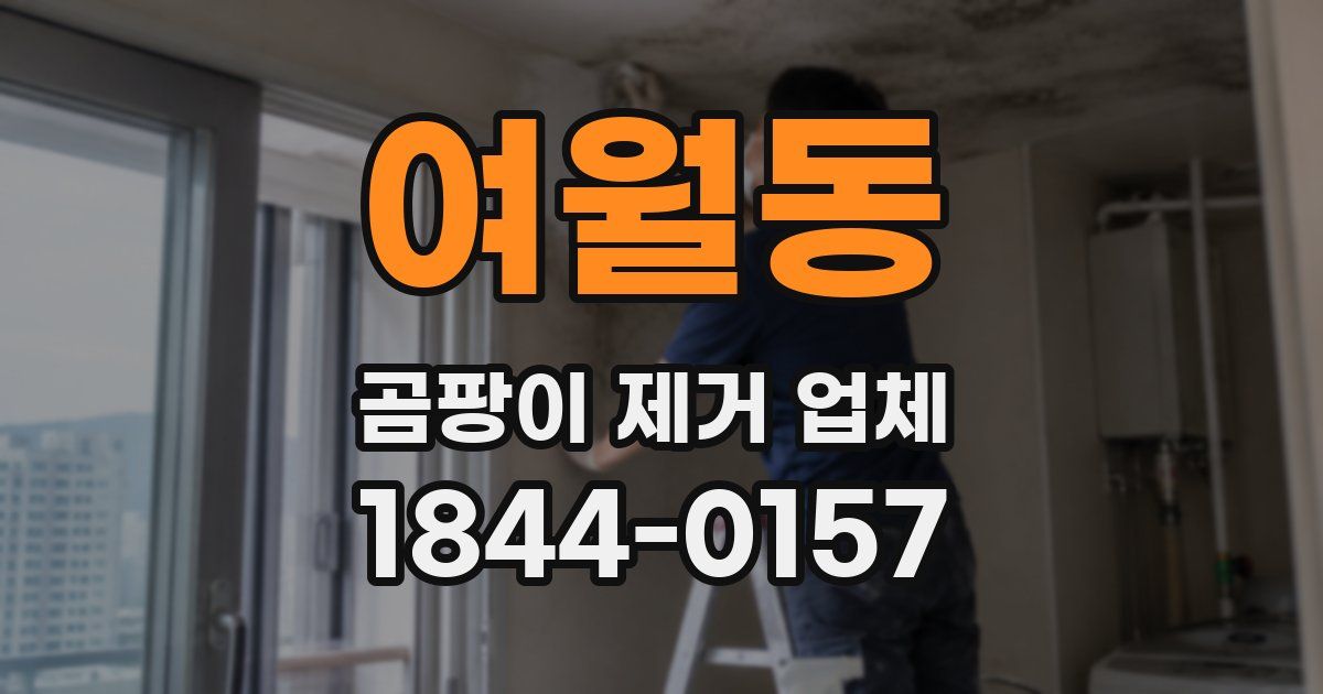 여월동 곰팡이 제거 업체