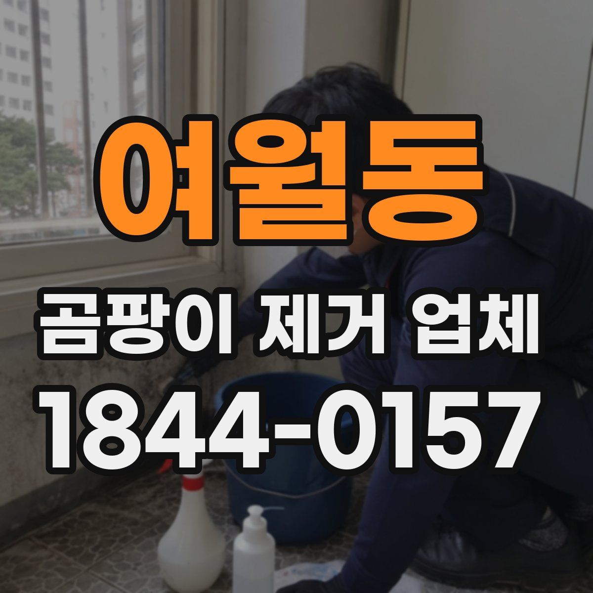 여월동 곰팡이 제거 업체