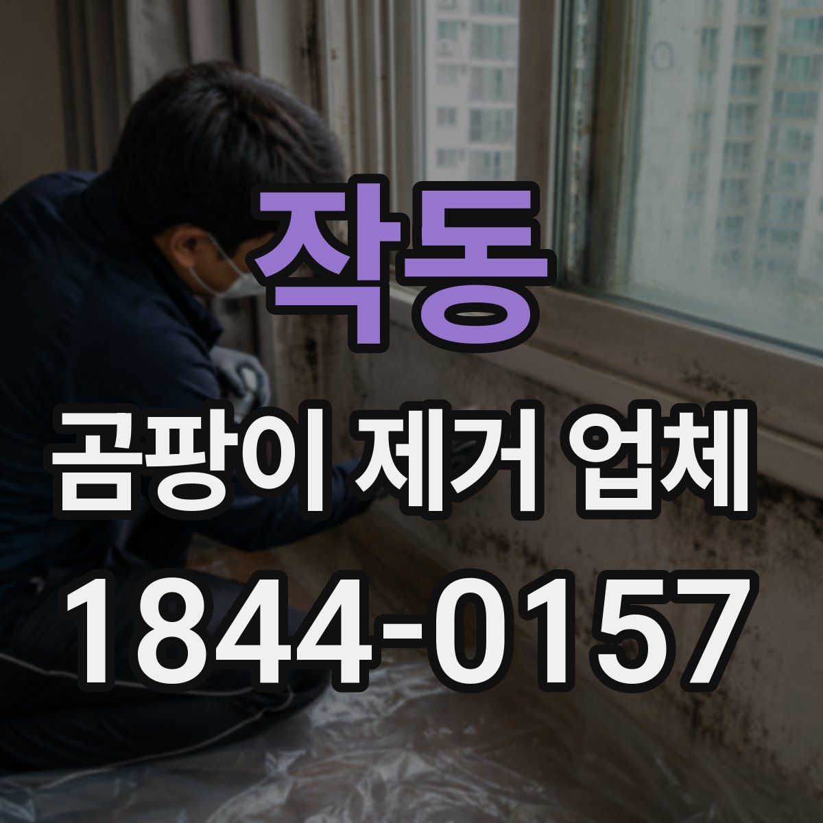 작동 곰팡이 제거 업체