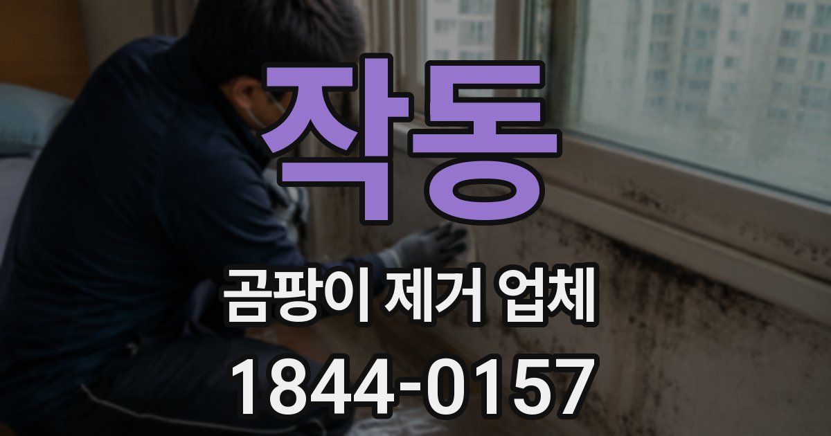 작동 곰팡이 제거 업체