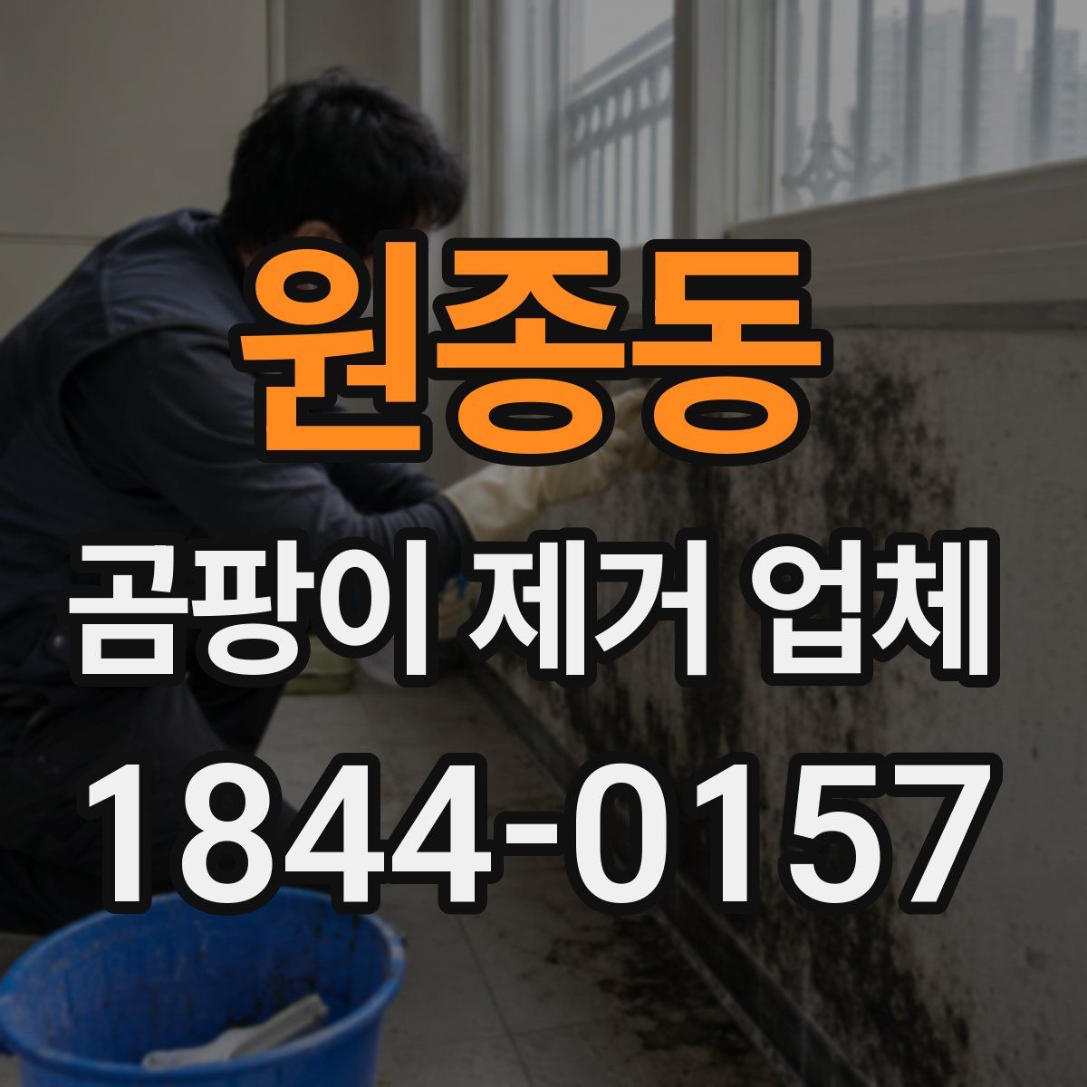 원종동 곰팡이 제거 업체