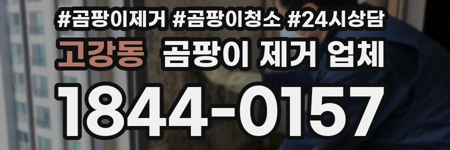 고강동 곰팡이 제거 업체