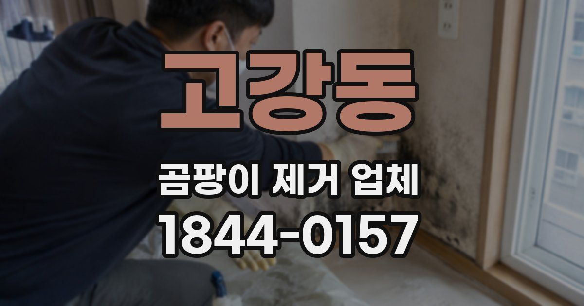 고강동 곰팡이 제거 업체