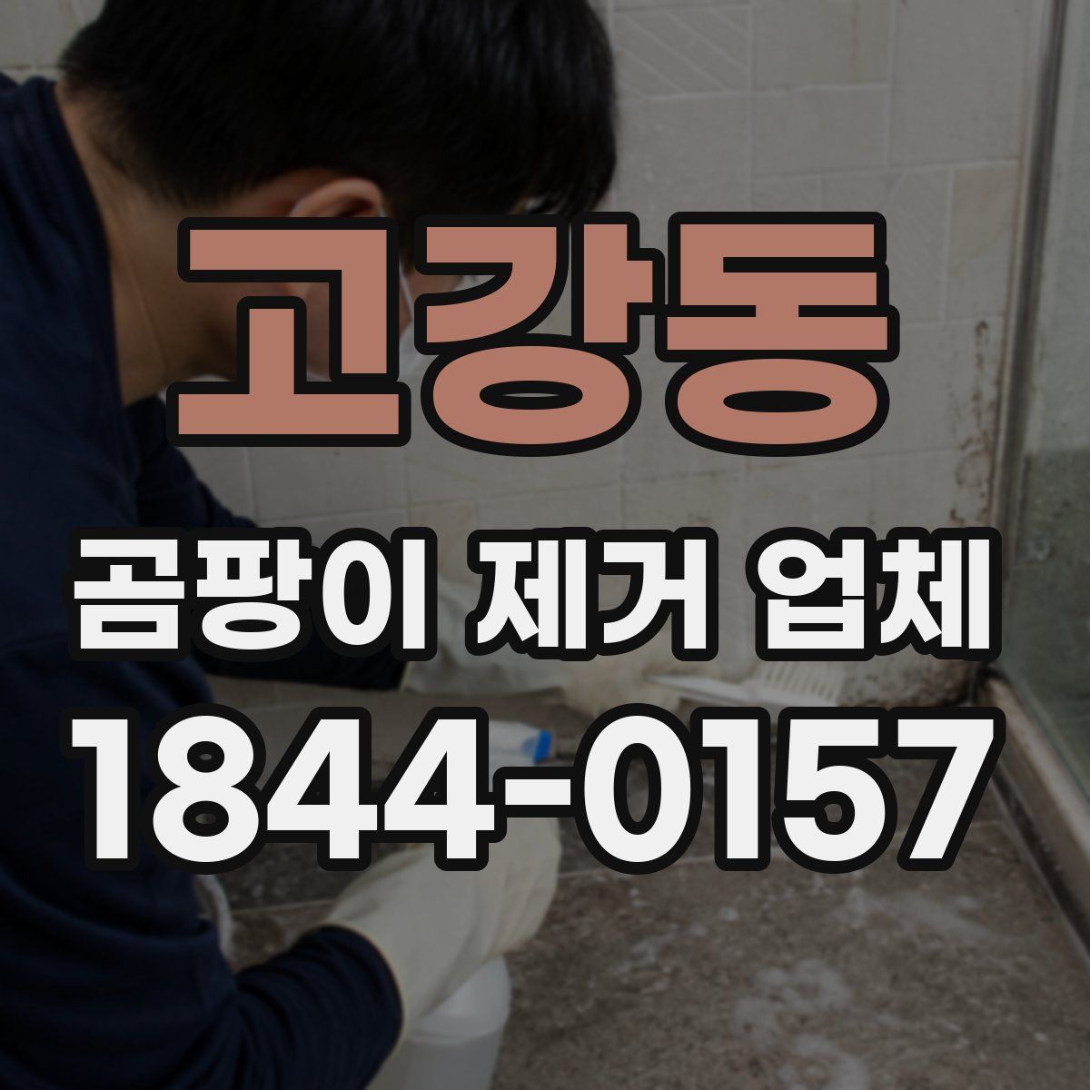 고강동 곰팡이 제거 업체