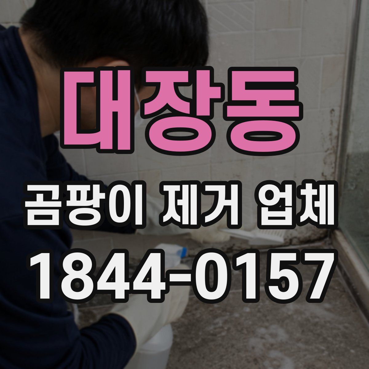 대장동 곰팡이 제거 업체
