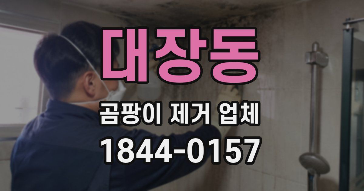 대장동 곰팡이 제거 업체