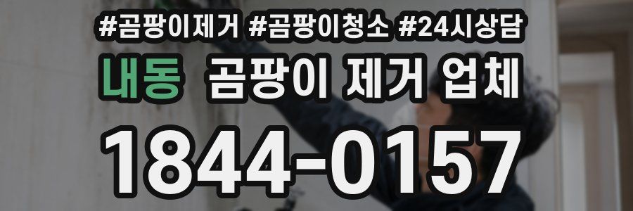 내동 곰팡이 제거 업체