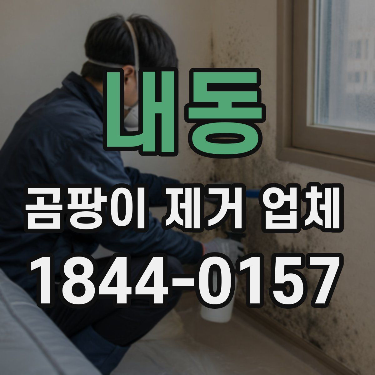 내동 곰팡이 제거 업체