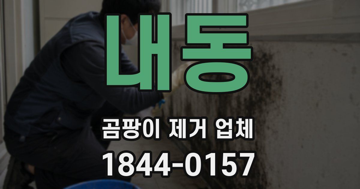 내동 곰팡이 제거 업체