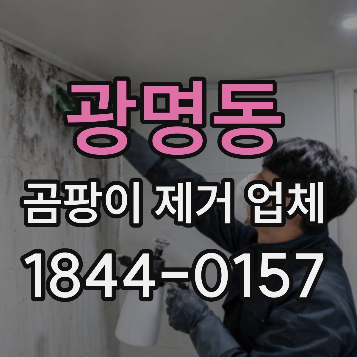 광명동 곰팡이 제거 업체