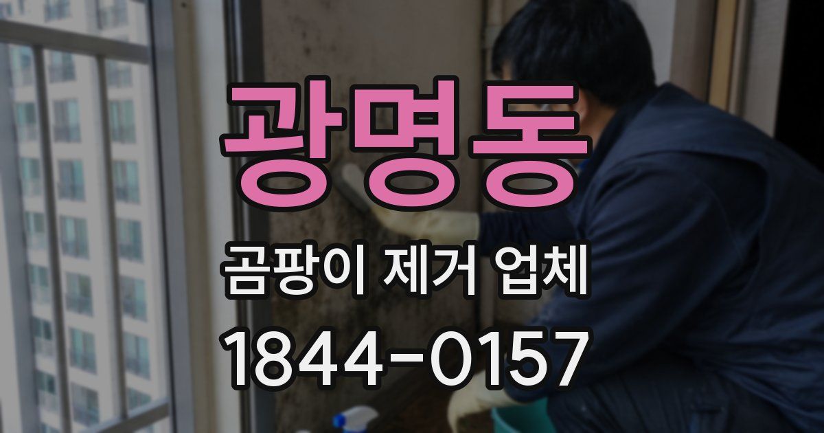 광명동 곰팡이 제거 업체