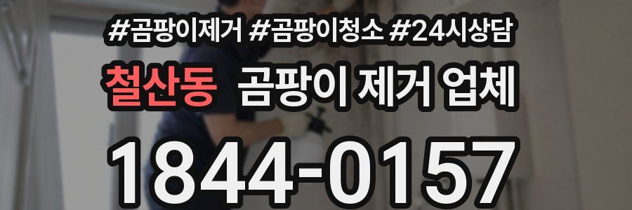 철산동 곰팡이 제거 업체