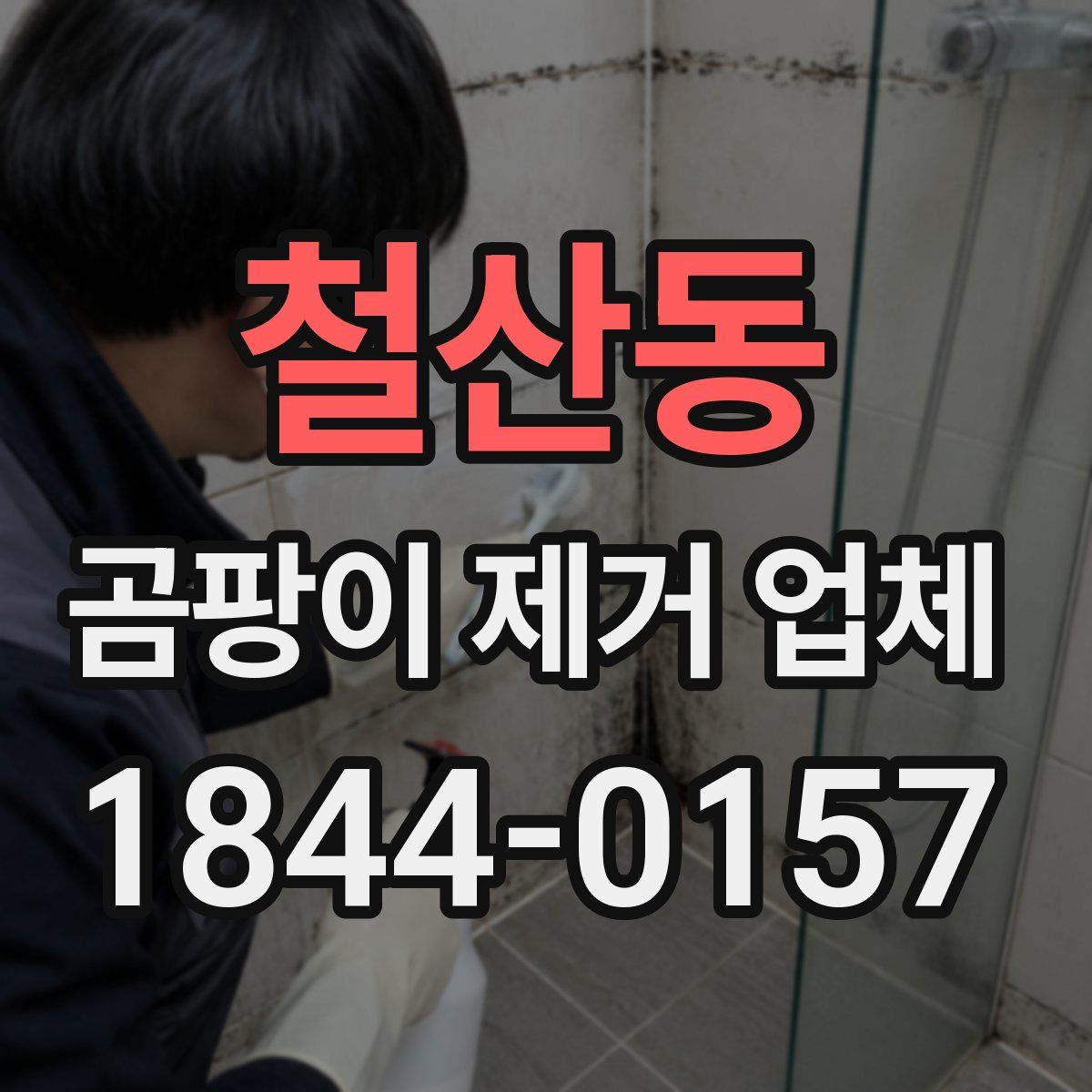철산동 곰팡이 제거 업체