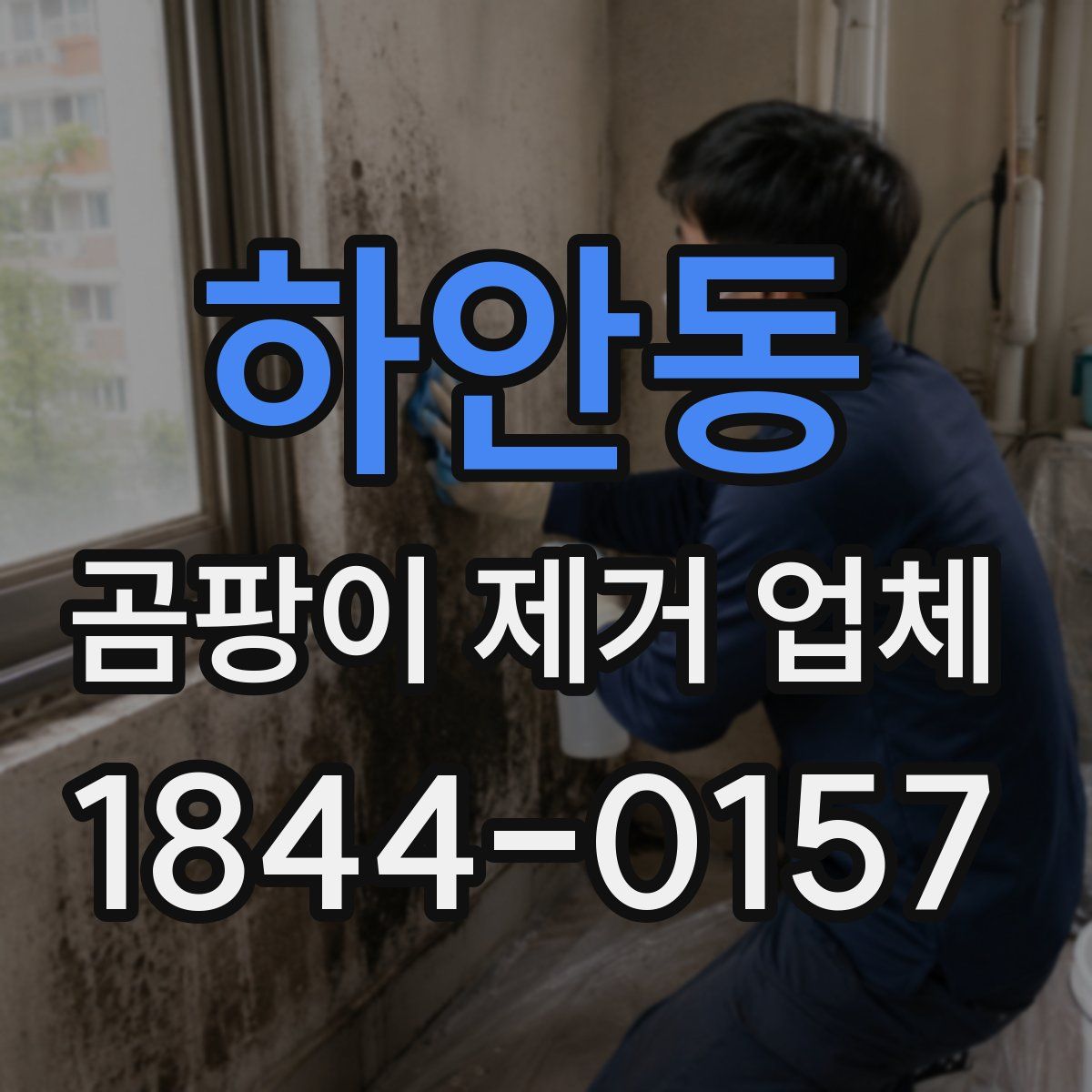 하안동 곰팡이 제거 업체