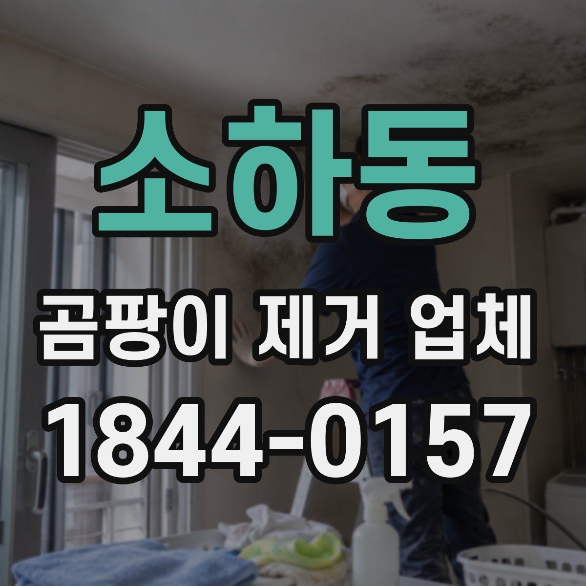 소하동 곰팡이 제거 업체 벽지 들뜸과 번짐을 함께 보는 진단