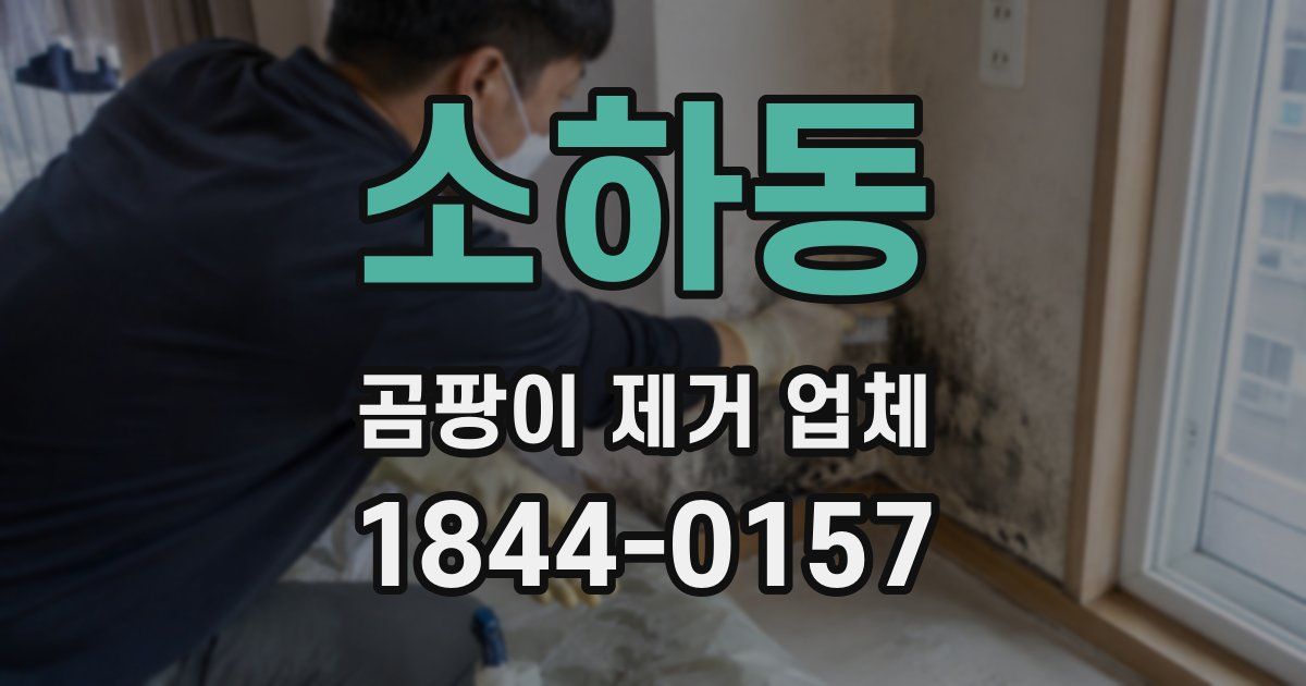 소하동 곰팡이 제거 업체