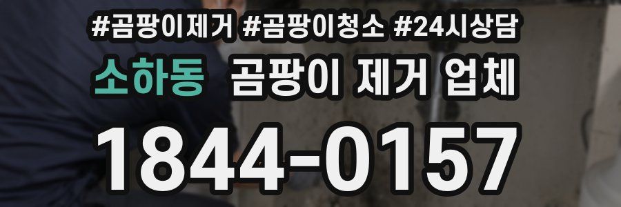 소하동 곰팡이 제거 업체