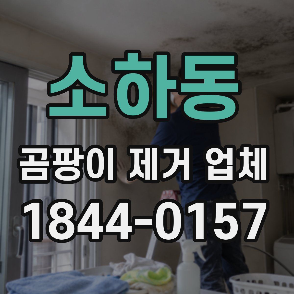 소하동 곰팡이 제거 업체