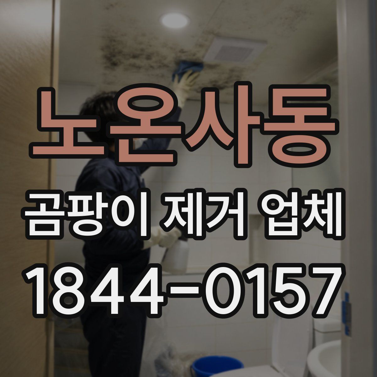 노온사동 곰팡이 제거 업체