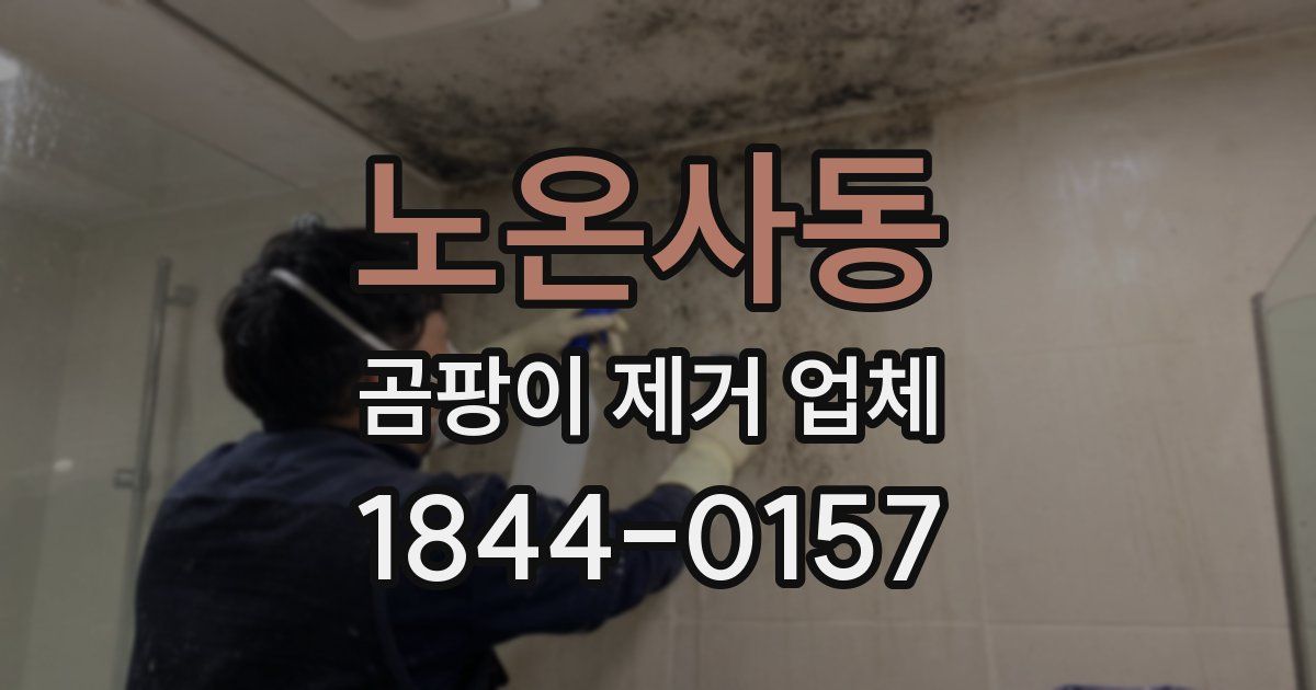 노온사동 곰팡이 제거 업체
