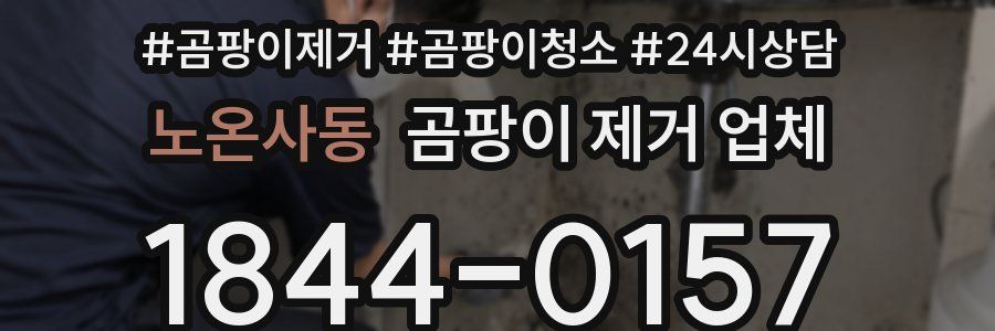 노온사동 곰팡이 제거 업체
