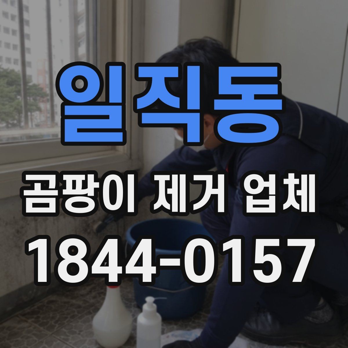 일직동 곰팡이 제거 업체 시공 뒤 건조 시간과 환기 확인 포인트