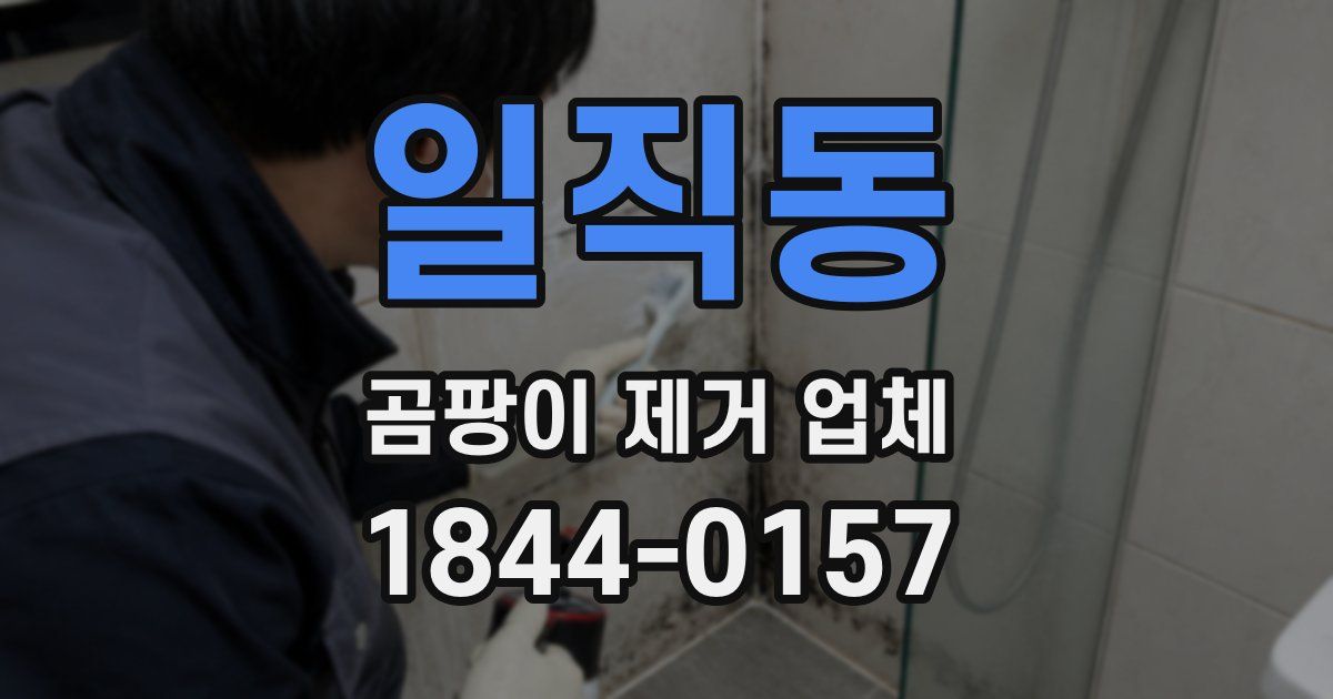 일직동 곰팡이 제거 업체