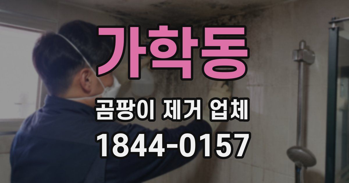 가학동 곰팡이 제거 업체