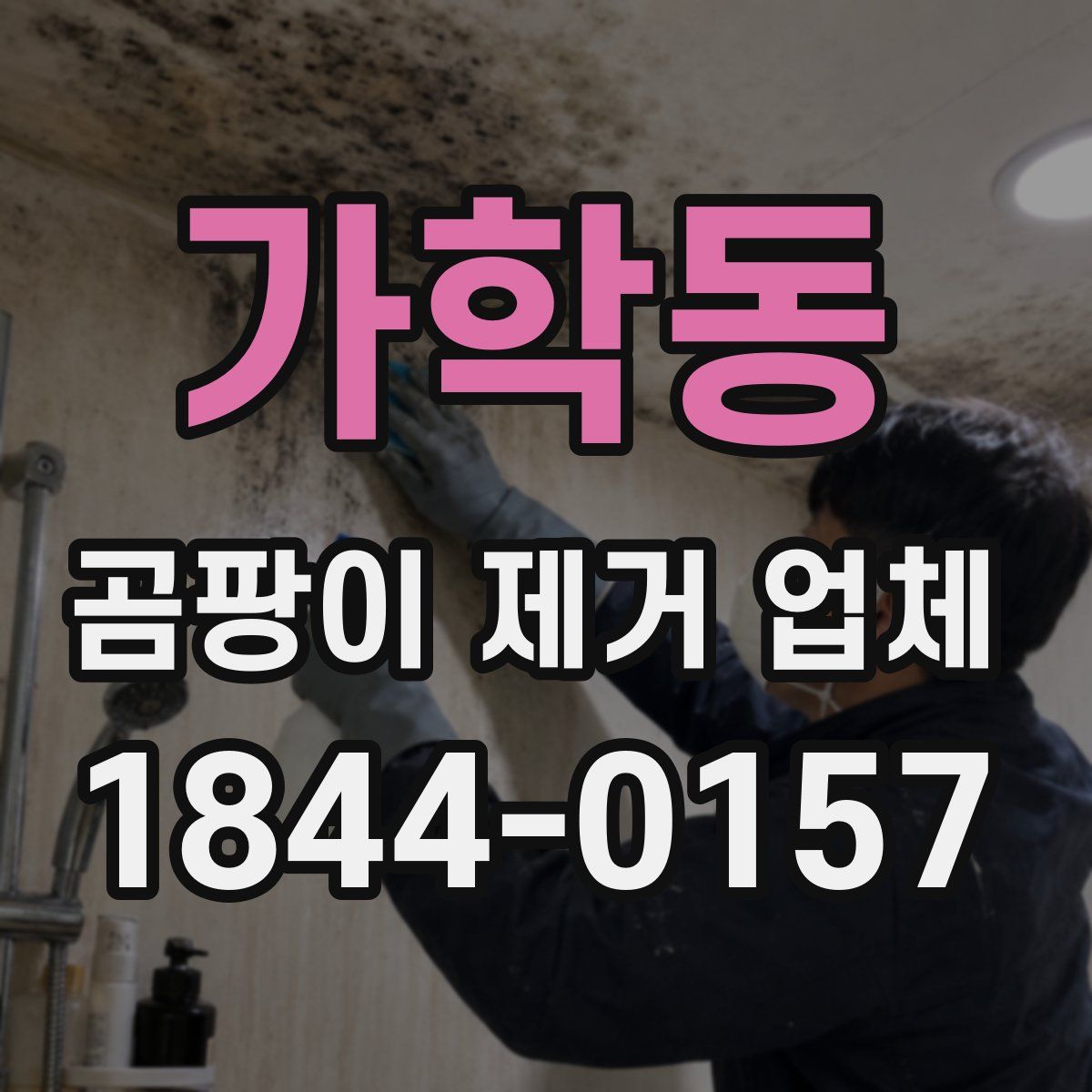 가학동 곰팡이 제거 업체