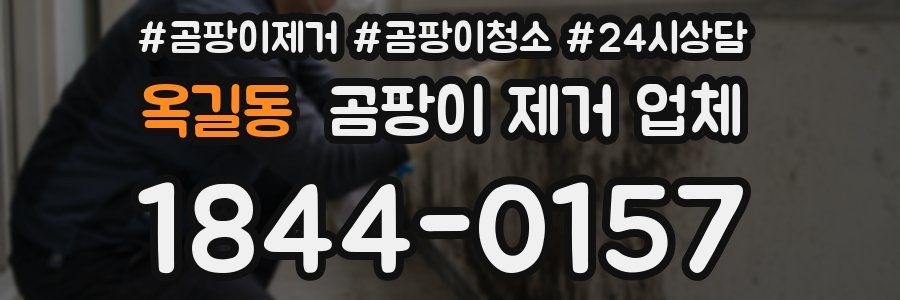 옥길동 곰팡이 제거 업체